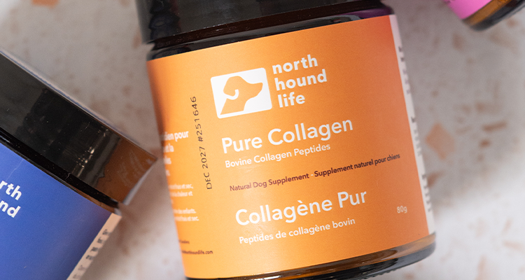 Not All Collagen is Created Equally