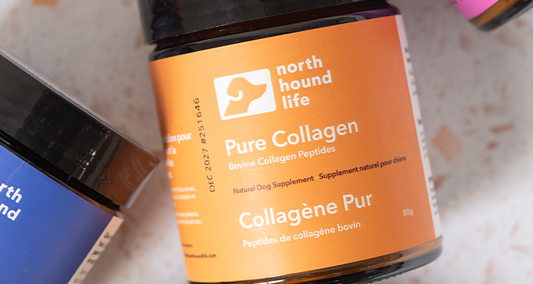 Not All Collagen is Created Equally