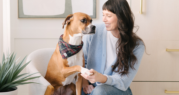 Our Mission and Vision is Empowering Pet Parents