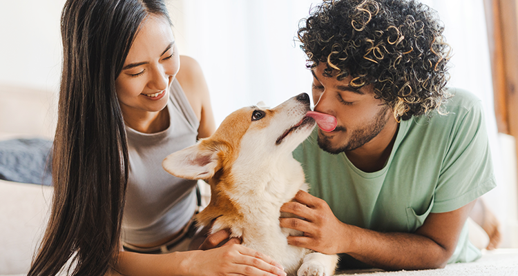 Meet Your Next Best Customer: The DINKWAD Era Is Here