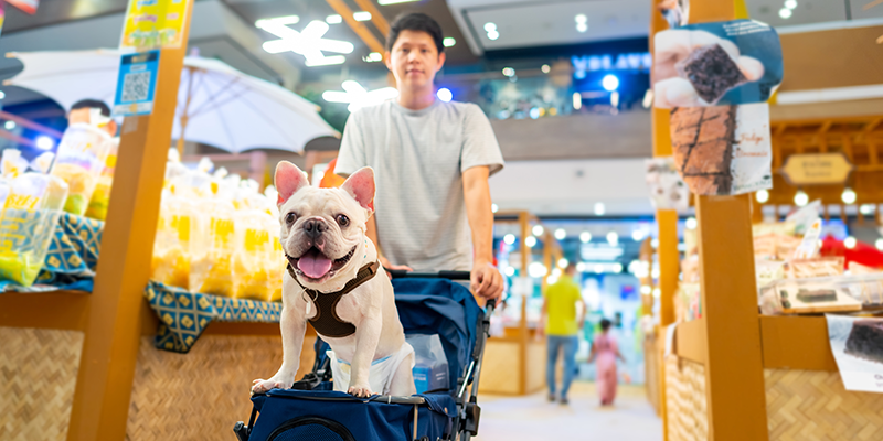 Embracing the Shift: How Educated Pet Parents Are Driving Demand for Natural Health and Feeding Solutions