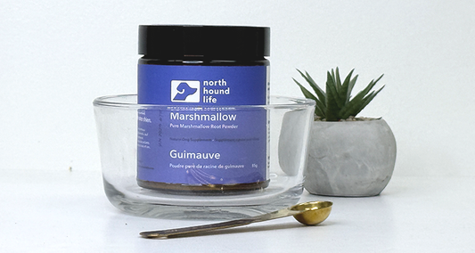 Staff Education Guide: Marshmallow Root for Dogs