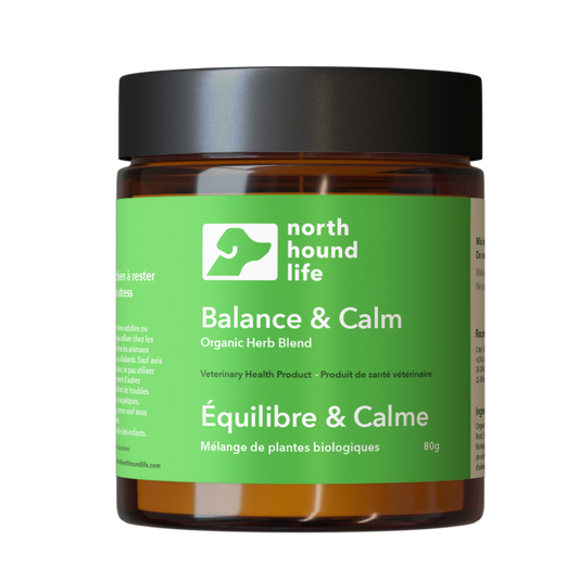 Balance & Calm supplement for dogs in amber glass jar with matt black plastic cap, jar is wrapped in vibrant green label with white and black text and white silhouette of dog image