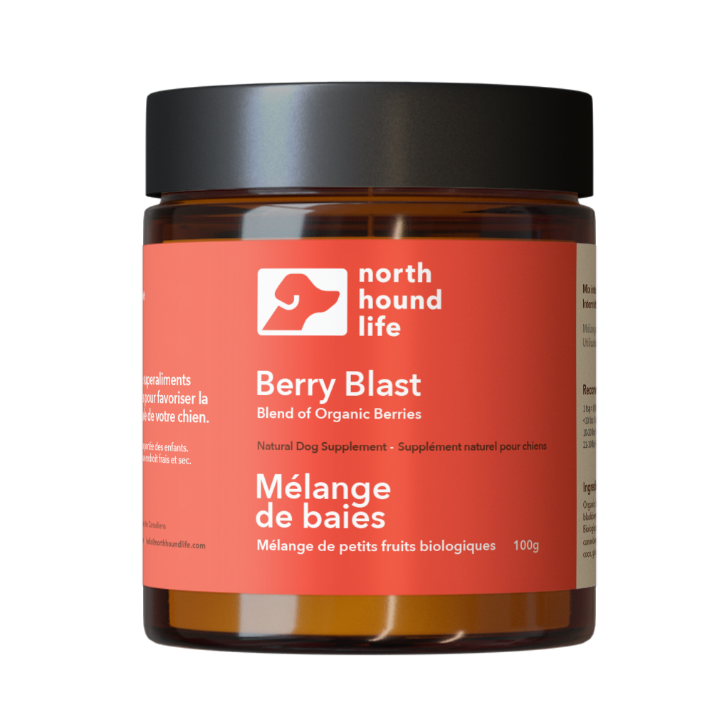 Berry Blast blend of organic berries in amber glass jar with red label with white text and black plastic lid