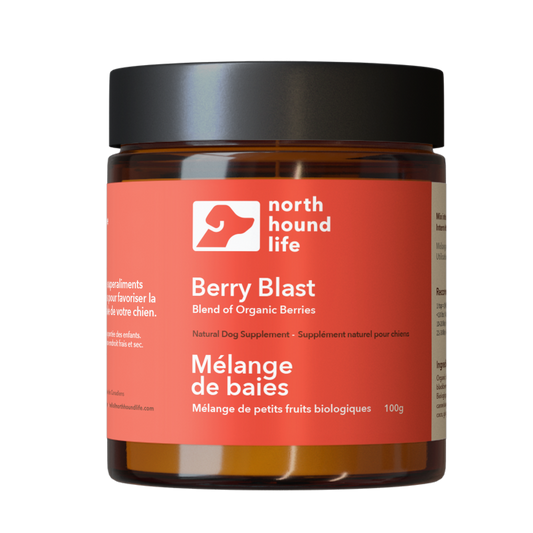 Berry Blast blend of organic berries in amber glass jar with red label with white text and black plastic lid