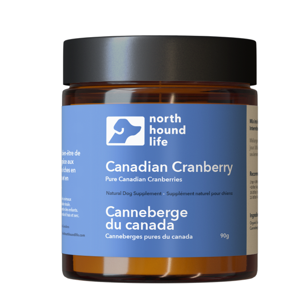 Jar of North Hound Life Canadian Cranberry supplement on a white background, with blue digestive health label on amber glass jar with black lid