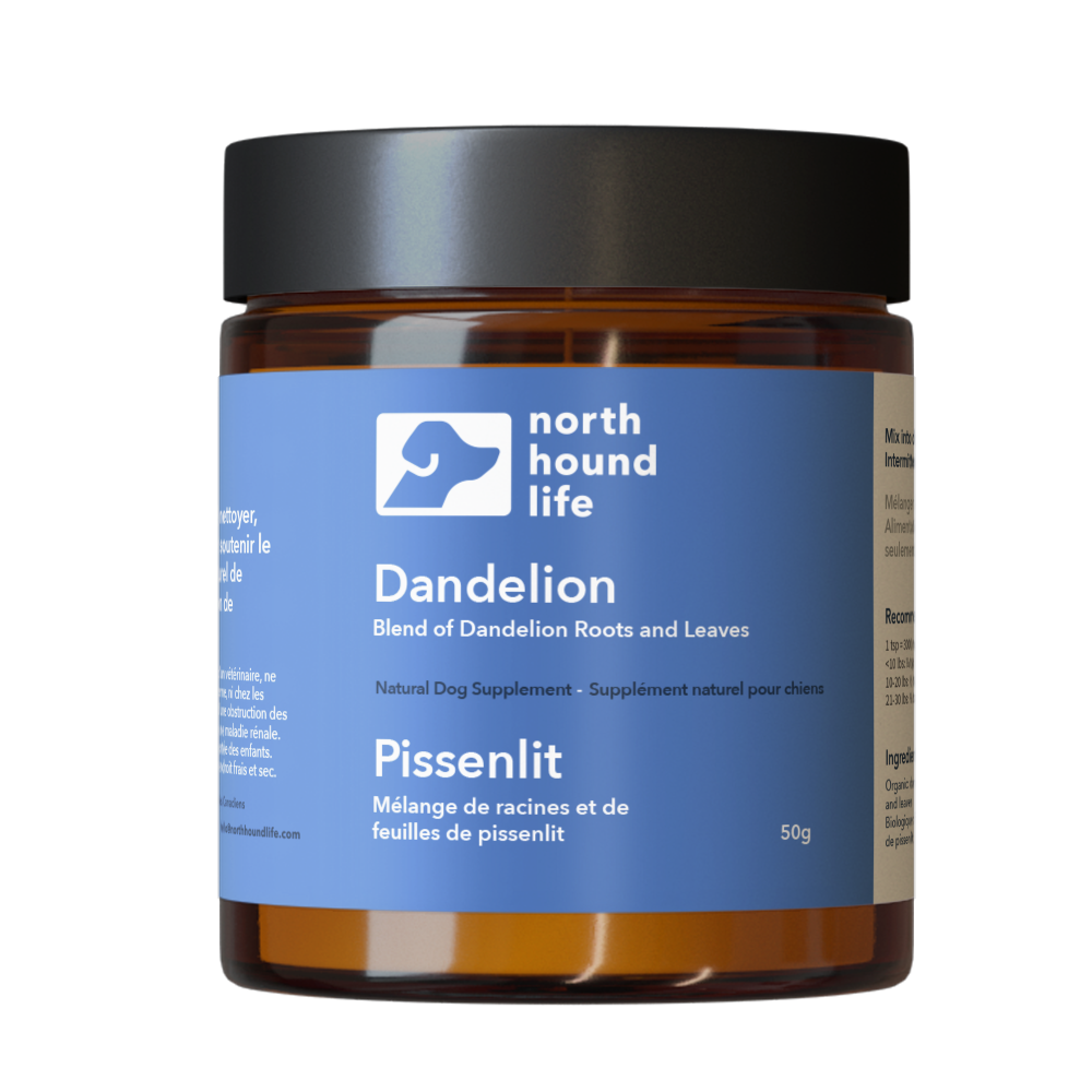 Jar of North Hound Life Dandelion supplement for dogs on a white background in amber glass jar with black lid and blue digestive health label