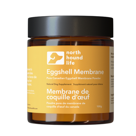 Jar of North Hound Life Eggshell Membrane powder on a white background in amber glass jar and black lid with yellow joint health label