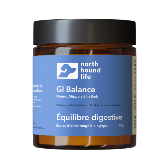 GI Balance supplement for dogs in amber glass jar with matt black plastic cap, jar is wrapped in pale blue label with white and black text and white silhouette of dog