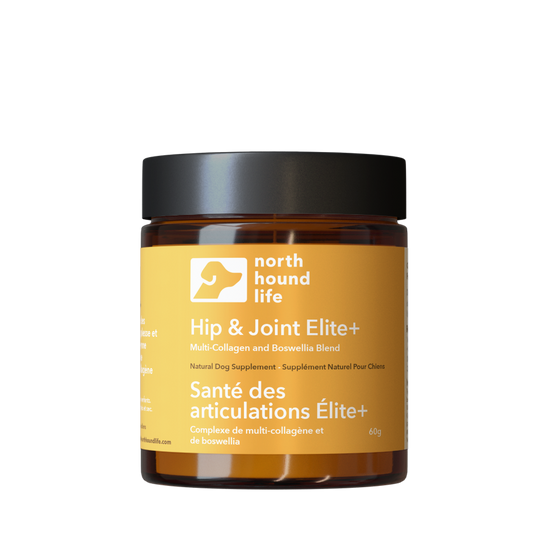 Jar of North Hound Life Hip & Joint Elite supplement on a white background