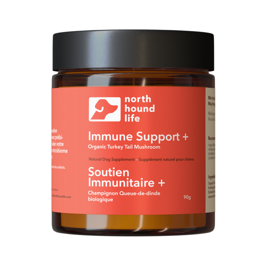 Jar of North Hound Life Immune Support supplement on a white background in amber glass jar with red immune support label