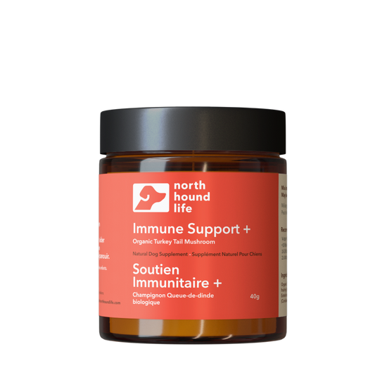Jar of North Hound Life Immune Support supplement on a white background in amber glass jar with red immune support label