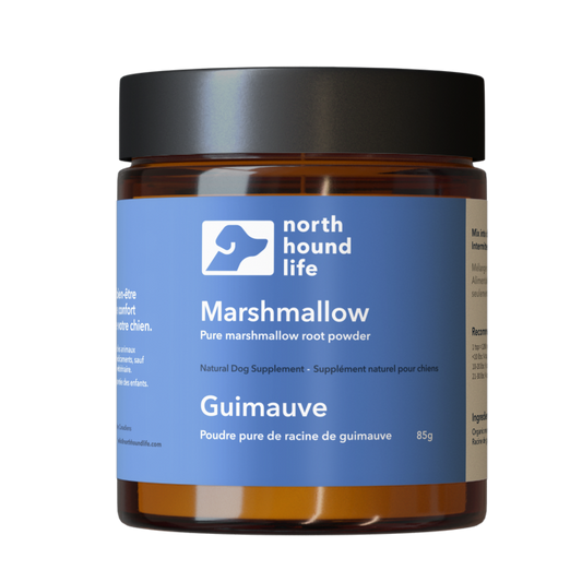 Jar of North Hound Life Marshmallow powder with blue digestive health label in amber glass jar with black plastic cap