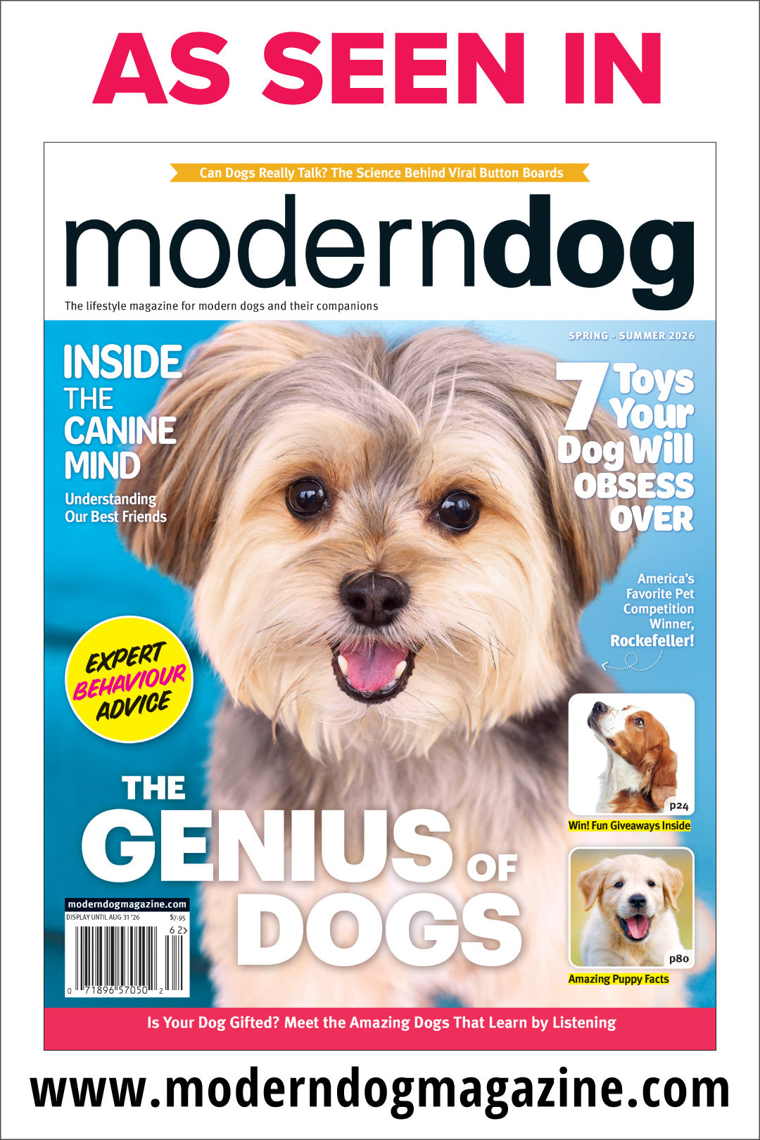 Cover of 'Modern Dog' magazine featuring a dog with text about dog behavior and toys.