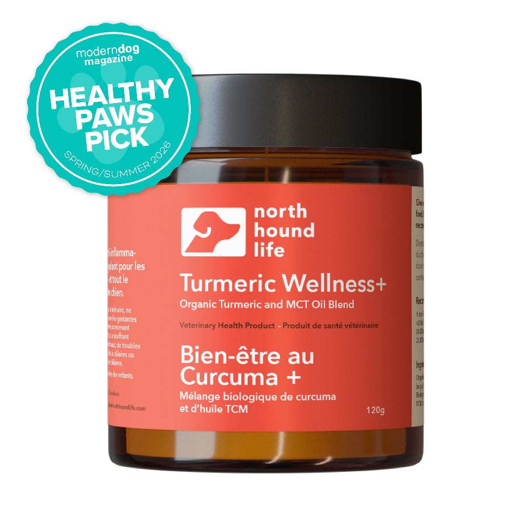 Jar of North Hound Life Turmeric Wellness+ on a white background with 'Healthy Paws Pick' badge.