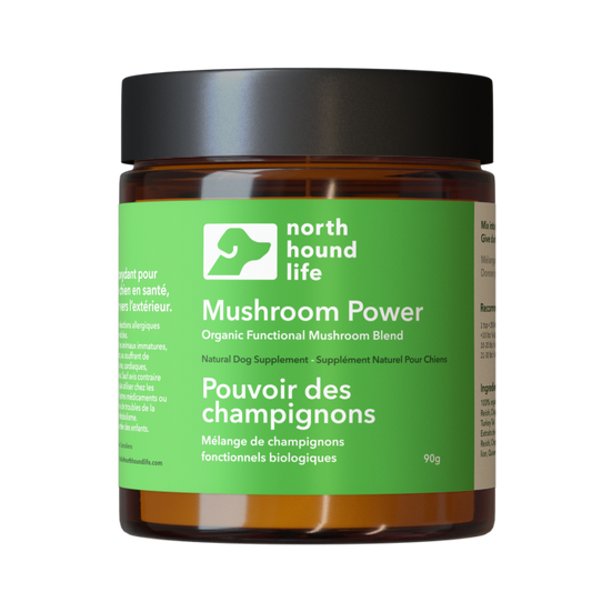 Jar of 'Mushroom Power' by North Hound Life on a white background, in amber glass jar with green everyday wellness label