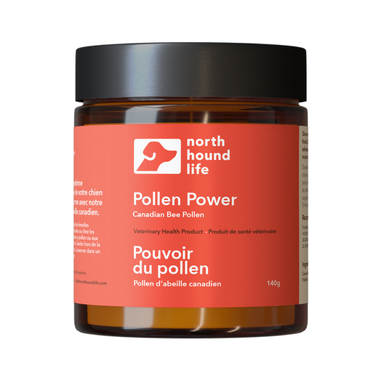 Jar of 'Pollen Power' by North Hound Life on a white background, in amber glass jar with black lid and red immune health label