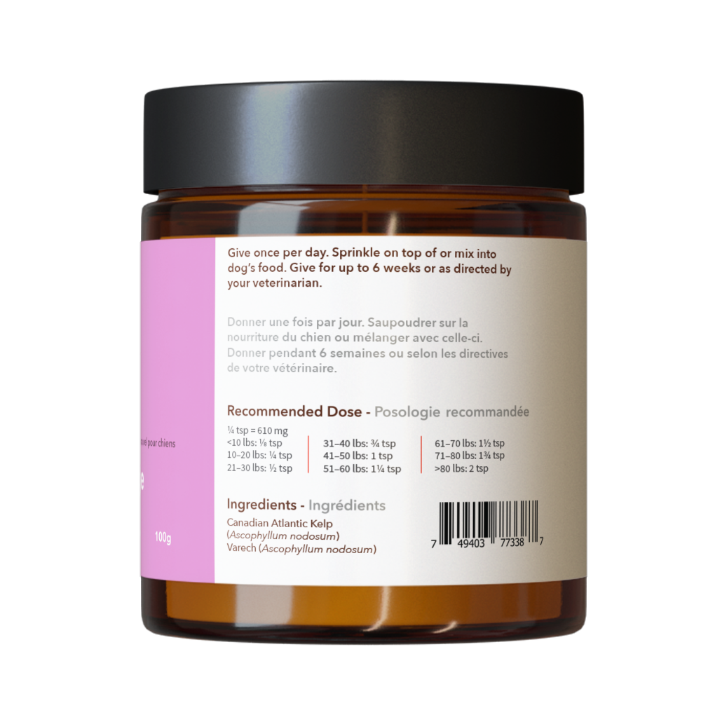 Jar of North Hound Life Skin & Coat Health+ supplement with pink label indicating skin and coat health on a white background