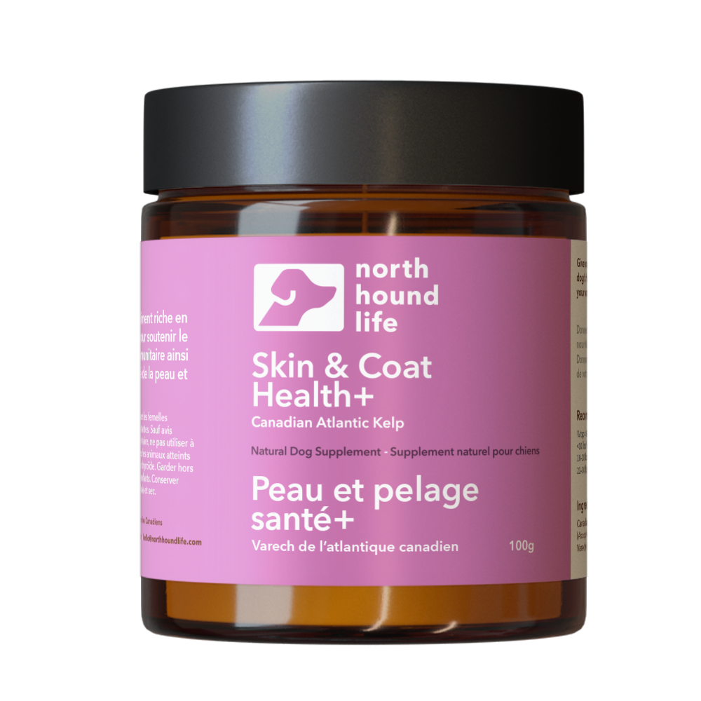 Jar of North Hound Life Skin & Coat Health+ supplement with pink label indicating skin and coat health on a white background