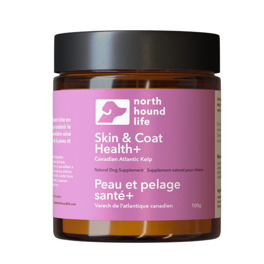 Jar of North Hound Life Skin & Coat Health+ supplement with pink label indicating skin and coat health on a white background