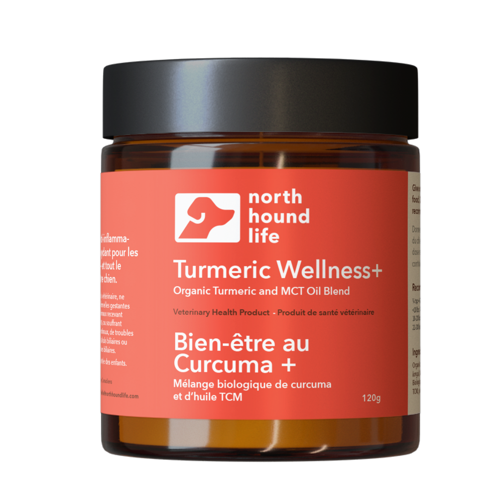 Turmeric Wellness + supplement for dogs in amber glass jar with matt black cap, jar is wrapped in red label with white and black text, with white silhouette of a dog