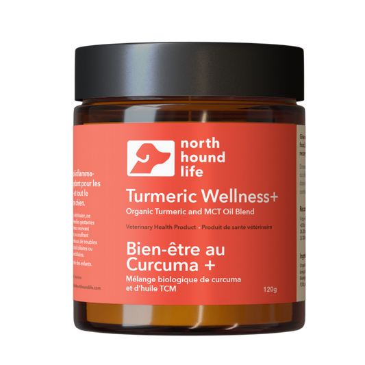 Turmeric Wellness + supplement for dogs in amber glass jar with matt black cap, jar is wrapped in red label with white and black text, with white silhouette of a dog