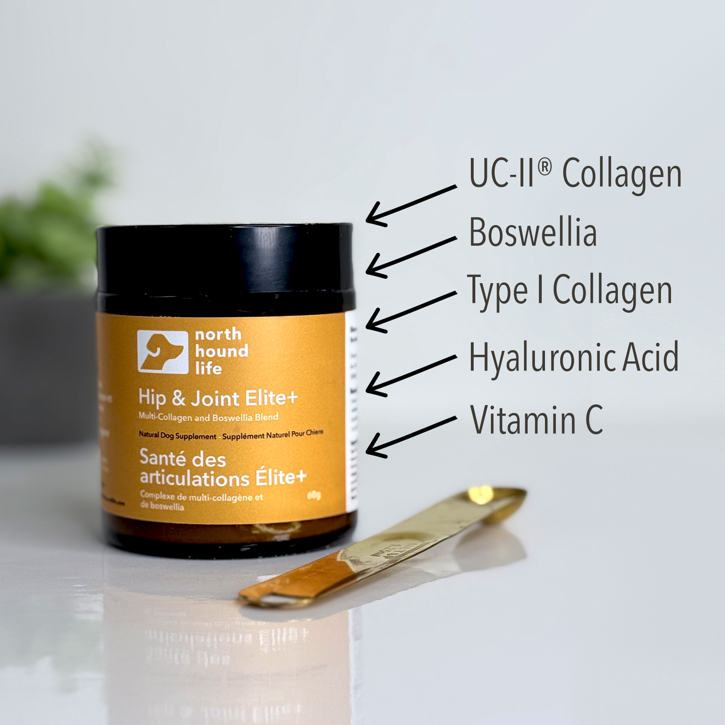 North Hound Life Hip & Joint Elite+ supplement jar with labeled ingredients on a white background