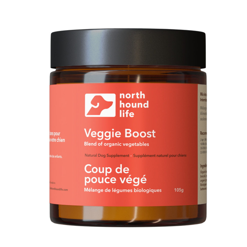 Veggie Boost supplement for dogs from north hound life, in amber glass jar with red immune support label and black cap