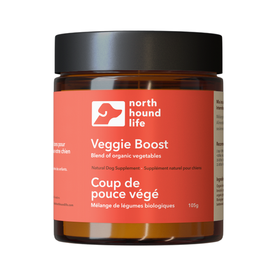 Veggie Boost supplement for dogs from north hound life, in amber glass jar with red immune support label and black cap