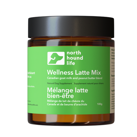 Jar of Wellness Latte Mix by North Hound Life on a white background in amber glass jar with black lid and green everyday wellness label