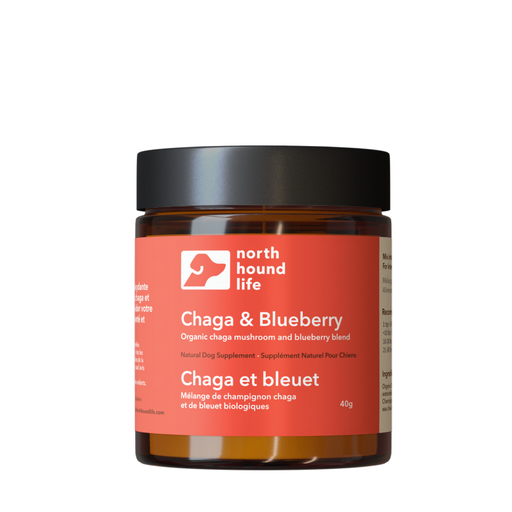 Jar of Chaga & Blueberry supplement by North Hound Life on a white background, red immune health label