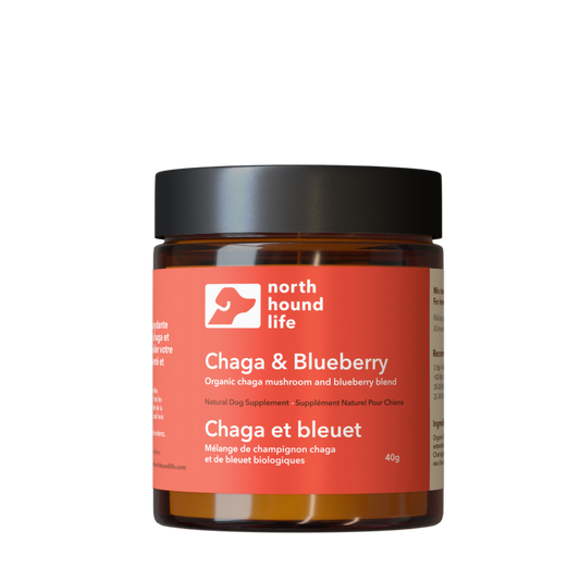 Jar of Chaga & Blueberry supplement by North Hound Life on a white background, red immune health label