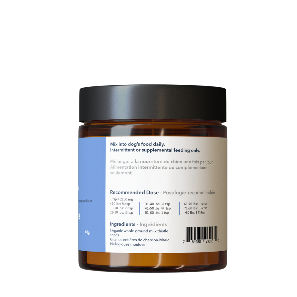 Jar of Milk Thistle supplement by North Hound Life on a white background in amber glass jar with black lid and blue digestive health label