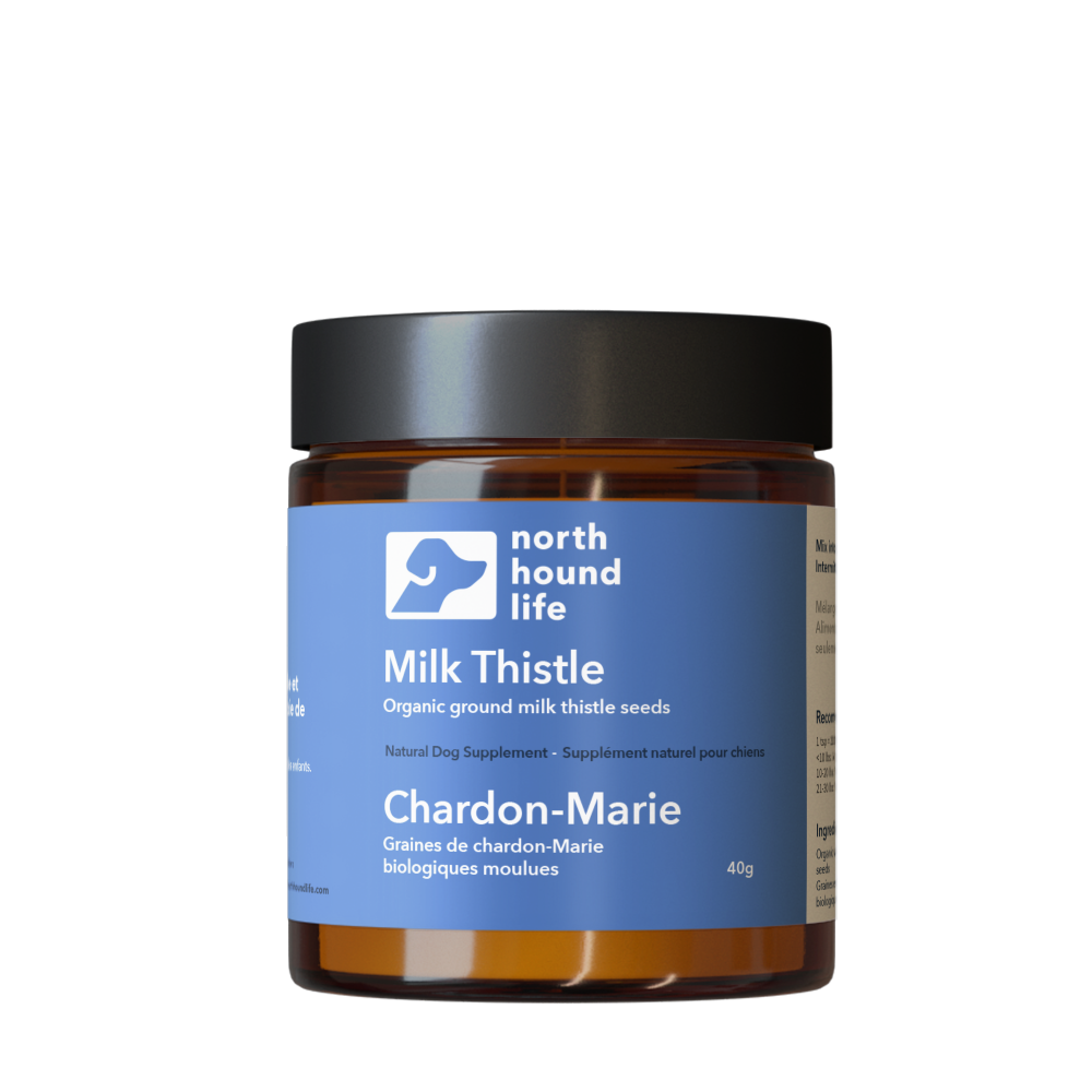 Jar of Milk Thistle supplement by North Hound Life on a white background in amber glass jar with black lid and blue digestive health label