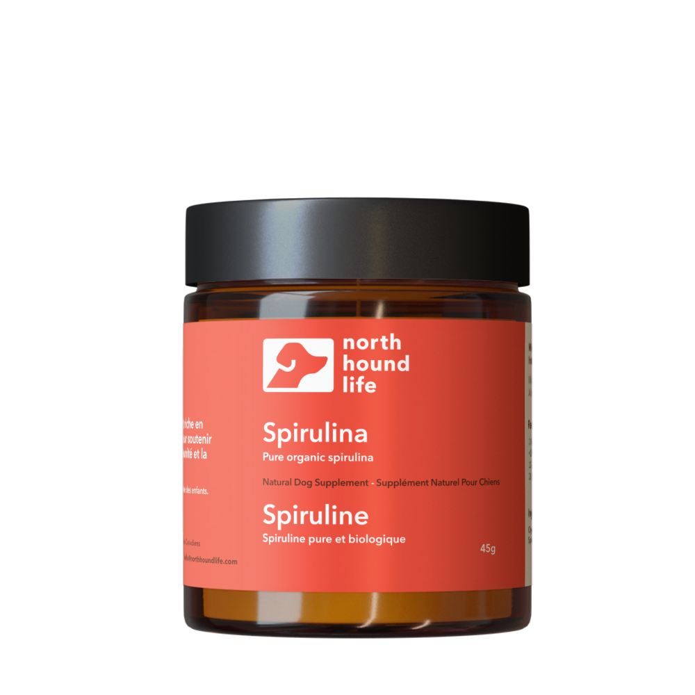 Jar of North Hound Life Spirulina on a white background, in amber glass jar with red immune health label and black plastic cap